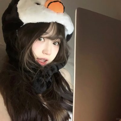 菊石